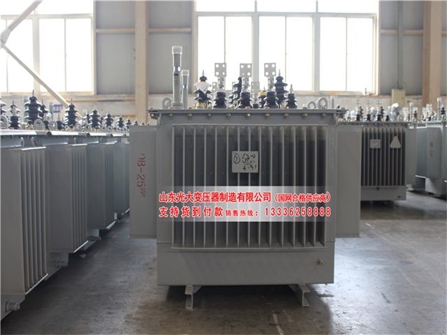 安阳S22-4000KVA油浸式变压器